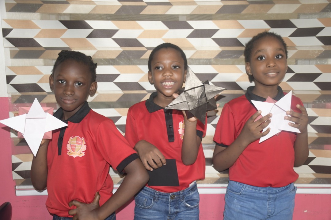 <p>Origami Star-box 2022</p>