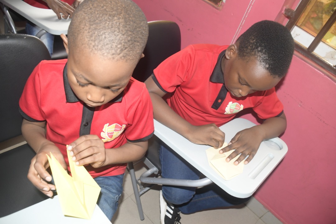 <p>Origami Star-box 2022</p>