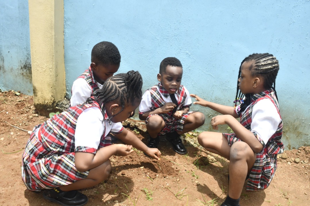 <p>NURSERY 2 Pupils planting maize seed.</p>