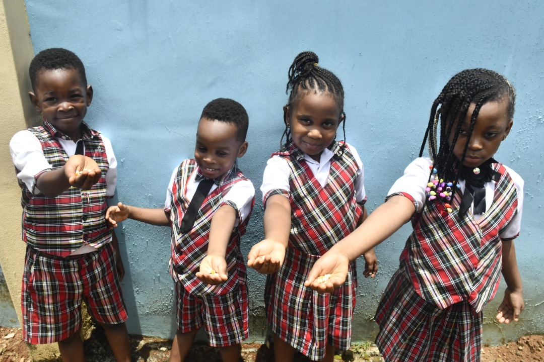 <p>NURSERY 2 Pupils planting maize seed.</p>