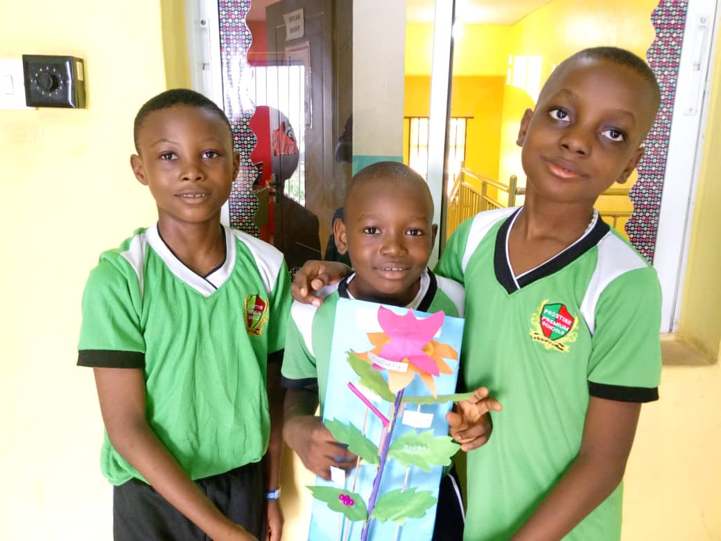 <p>LIFE CYCLE OF A BUTTERFLY</p>