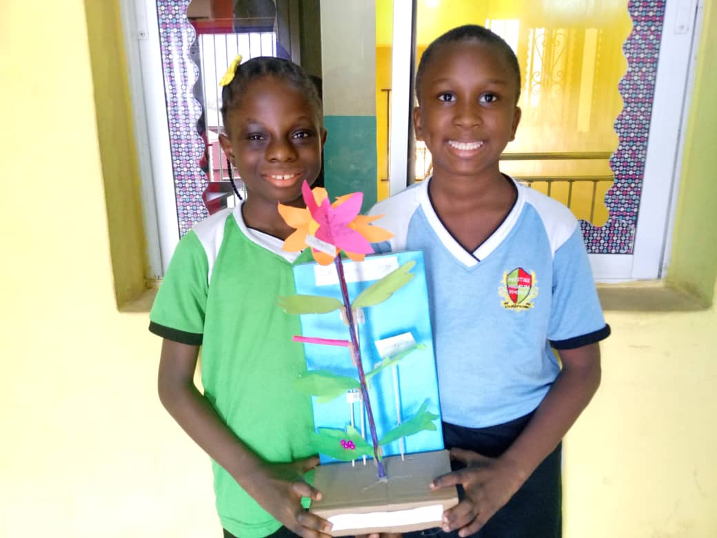 <p>LIFE CYCLE OF A BUTTERFLY</p>